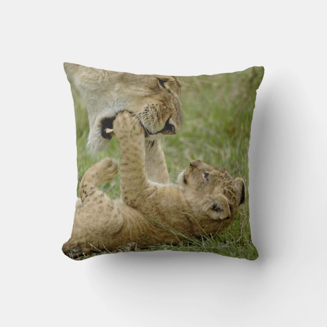 Lion Cub Playing Throw Pillow (Front)