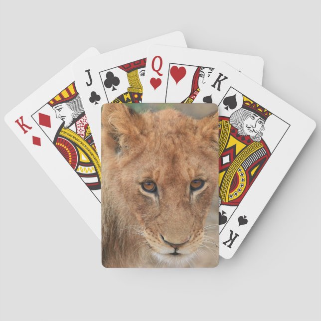Lion Cub Poker Cards (Back)