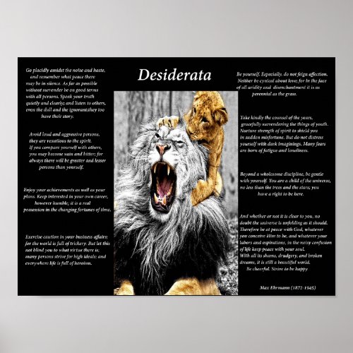 Lion Cub Poster