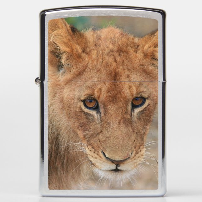 Lion Cub Zippo Lighter (Front)