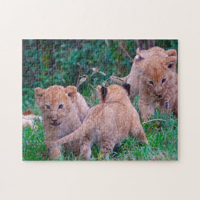 Lion Cubs Big Cats. Jigsaw Puzzle (Horizontal)