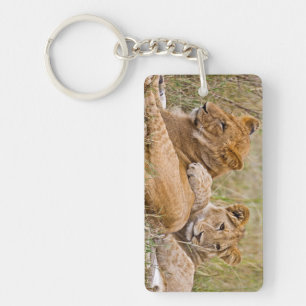 Lion Cubs Lounging Keychain