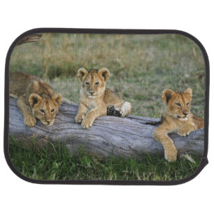 Lion Cubs on Log Car Floor Mat