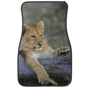 Lion Cubs on Log Car Floor Mat