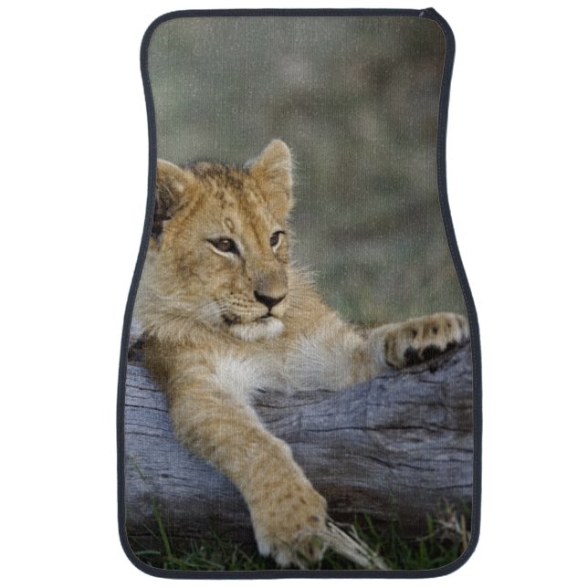 Lion Cubs on Log Car Floor Mat (Front)