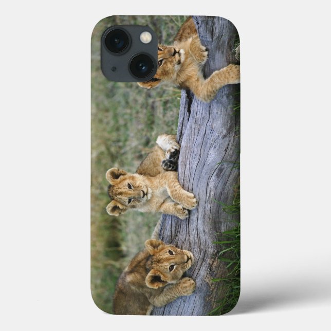 Lion Cubs on Log Case-Mate iPhone Case (Back)