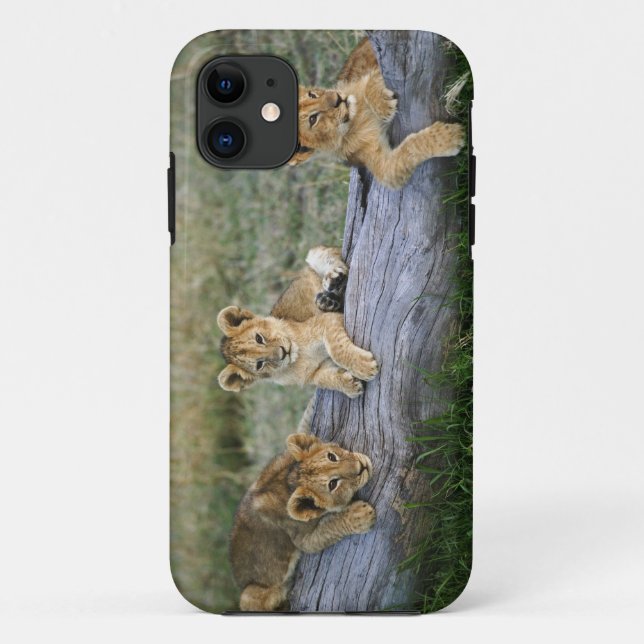 Lion Cubs on Log Case-Mate iPhone Case (Back)