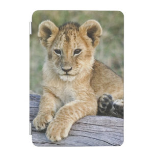 Lion Cubs on Log iPad Mini Cover