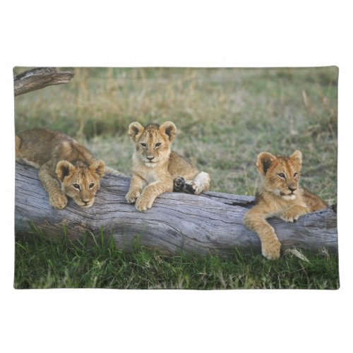 Lion cubs on log Panthera leo Masai Mara 2 Placemat