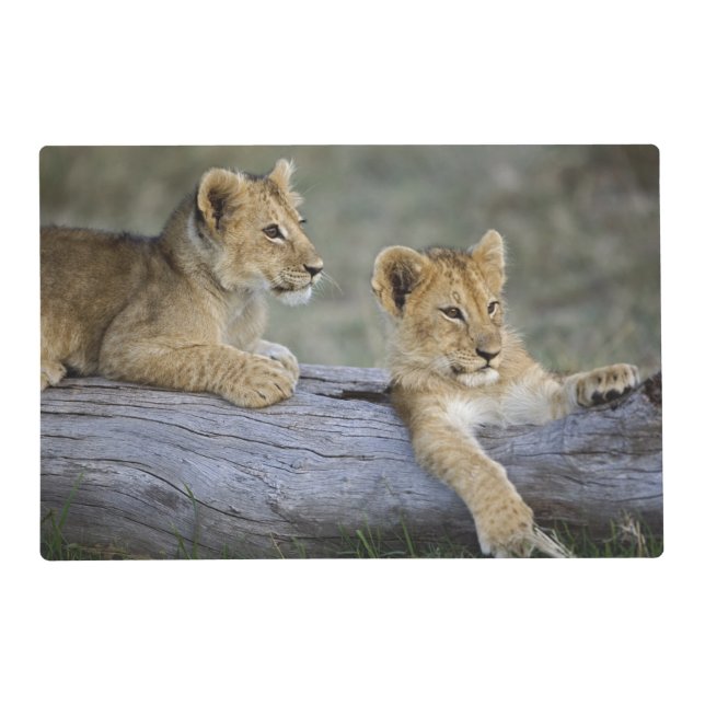 Lion Cubs on Log Placemat (Front)