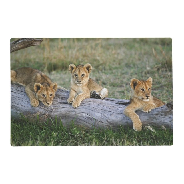 Lion Cubs on Log Placemat (Front)