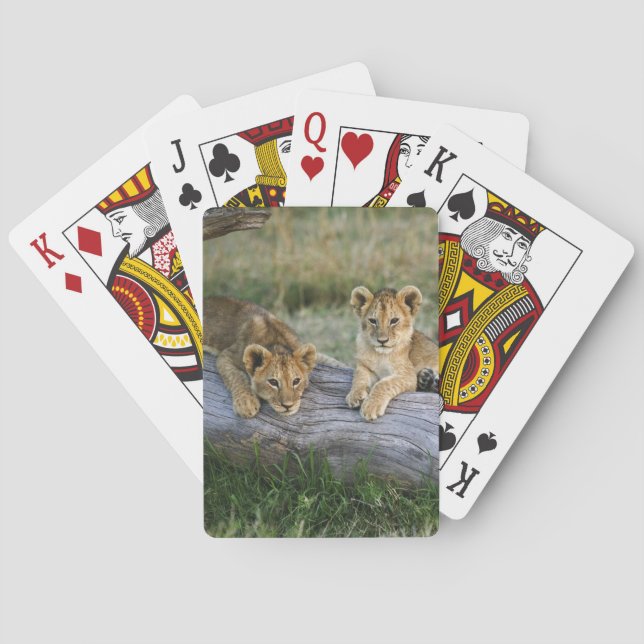 Lion Cubs on Log Poker Cards (Back)
