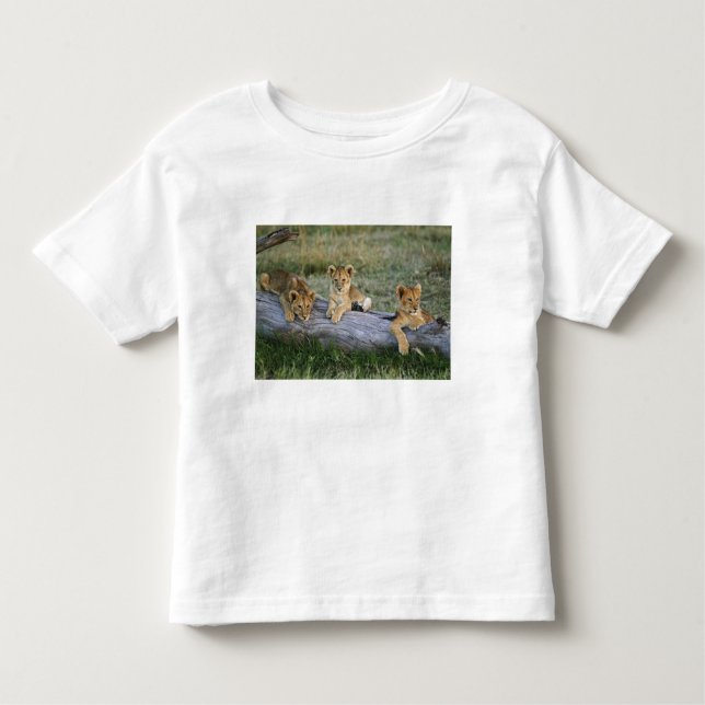 Lion Cubs on Log Toddler T-shirt (Front)