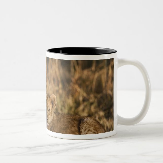 Lion Cubs on Log Two-Tone Coffee Mug (Right)
