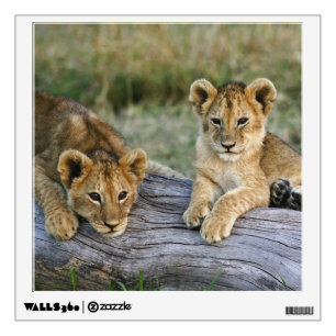 Lion Cubs on Log Wall Sticker