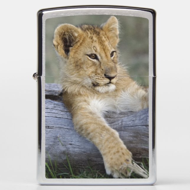 Lion Cubs on Log Zippo Lighter (Front)