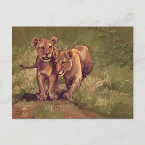 Lion Cubs Postcard