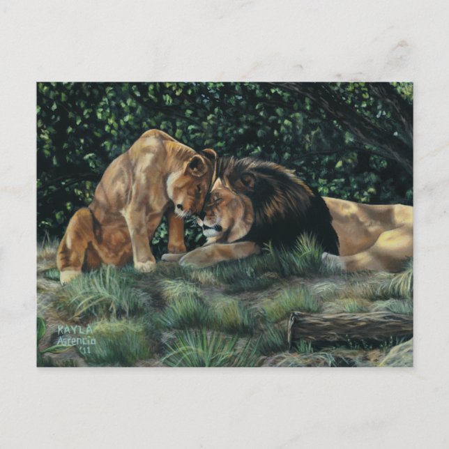 Lion Cuddle Postcard (Front)