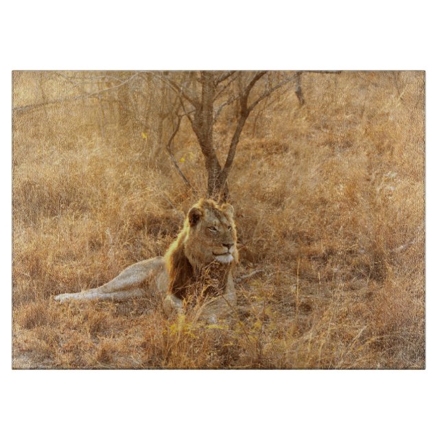 Lion Cutting Board (Front)