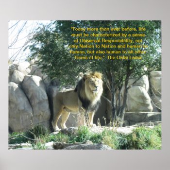 Lion Dalai Lama Quote Poster by Rinchen365flower at Zazzle