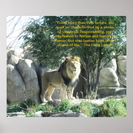 Lion Dalai Lama Quote Poster