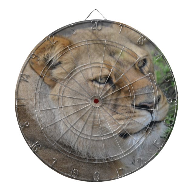 Lion Dartboard (Front)