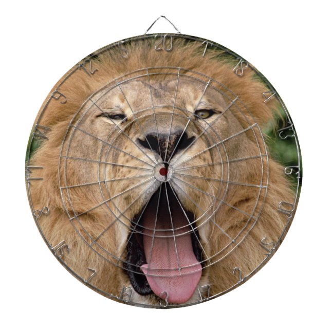 Lion Dartboard With Darts (Front)