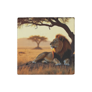Lion day dream stone magnet