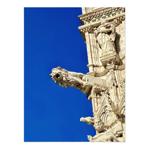 Lion Detail on the Duomo in Siena Italy Photo Print