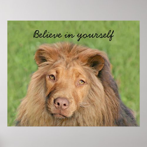 Lion dog poster
