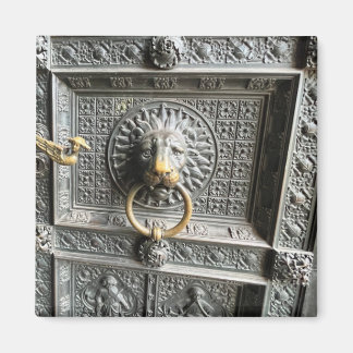Lion door detail magnet