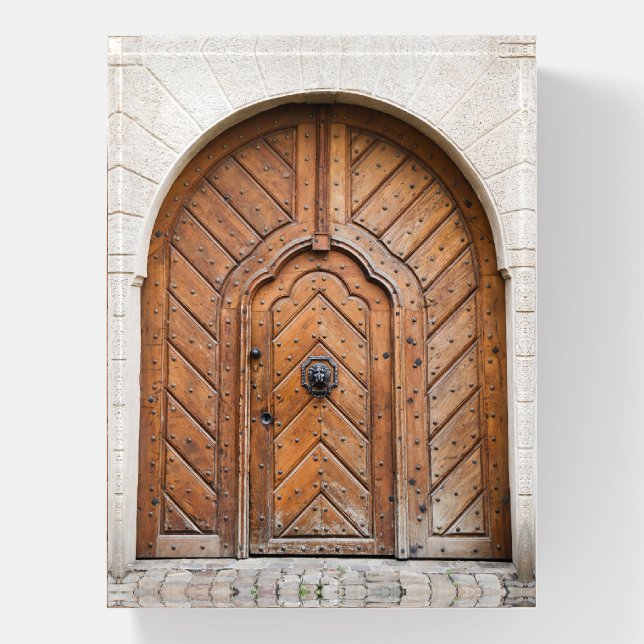 Lion Door Paper Weight (Vertical)