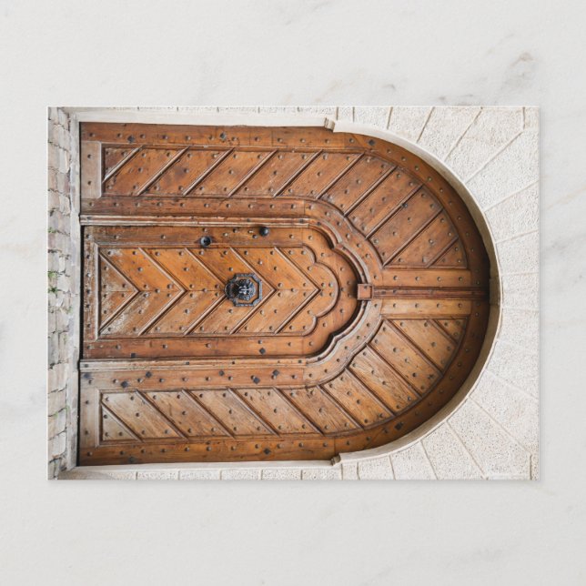 Lion Door Postcard (Front)