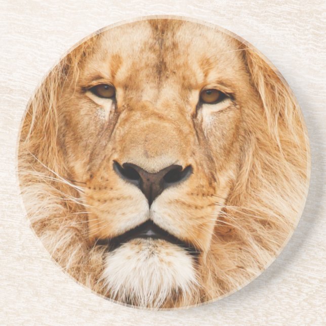 Lion Drink Coaster (Front)