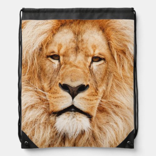 Lion Face Artwork Drawstring Bag