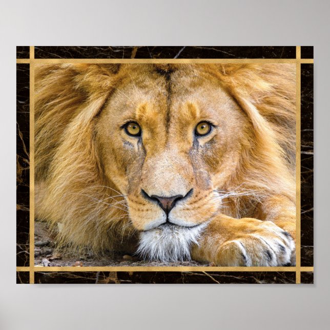 Lion Face Closeup Bright Photo Image Print Poster (Front)