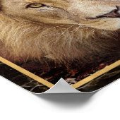 Lion Face Closeup Photograph Image Print Poster (Corner)