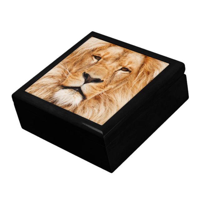 Lion Face Gift Box (Side)