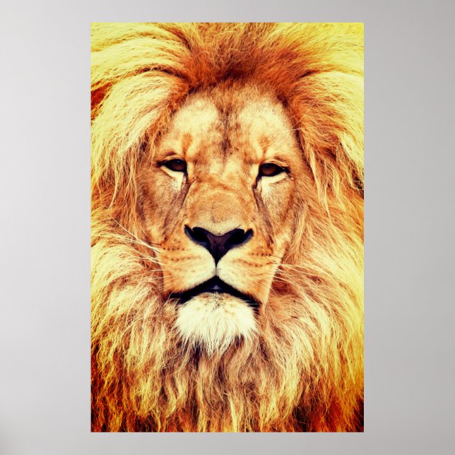 Lion Face Painting Artwork-17335 Poster (Front)