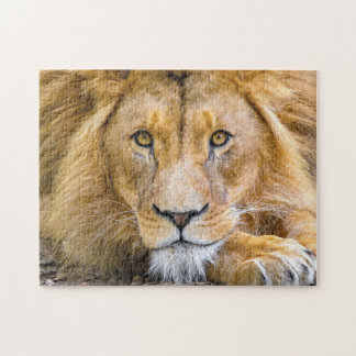 Lion Face Photo Jigsaw Puzzle