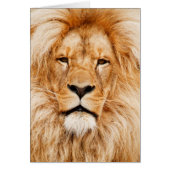 Lion Face Photograph (Front)