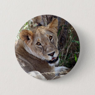 lion face pinback button