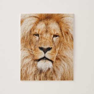 Lion Face Puzzle