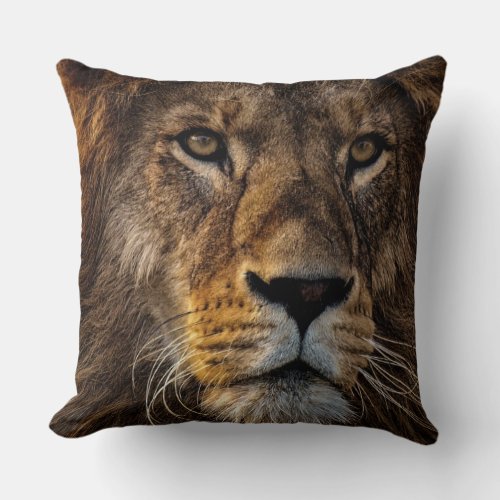 Lion Face Square Cotton Throw Pillow