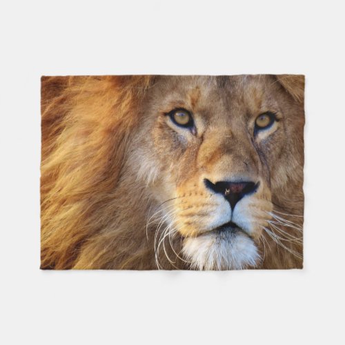 Lion face with mane blanket