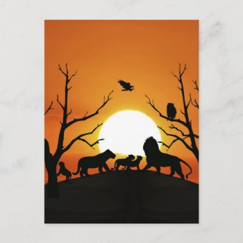 Lion Family At Sunset Africa Postcard by laureenr at Zazzle