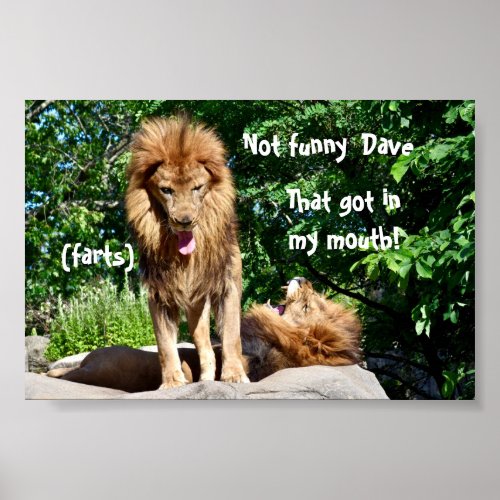 Lion farts poster