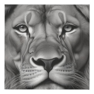 Lion Faux Canvas Print