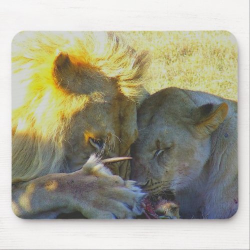 Lion Feast Wildlife Photography Mouse Pad