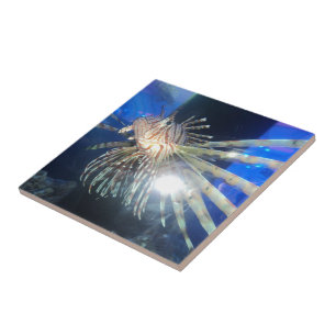 Lion fish ceramic tile